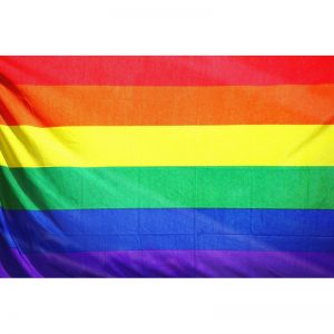 Bandera Orgullo LGBT 90 cm