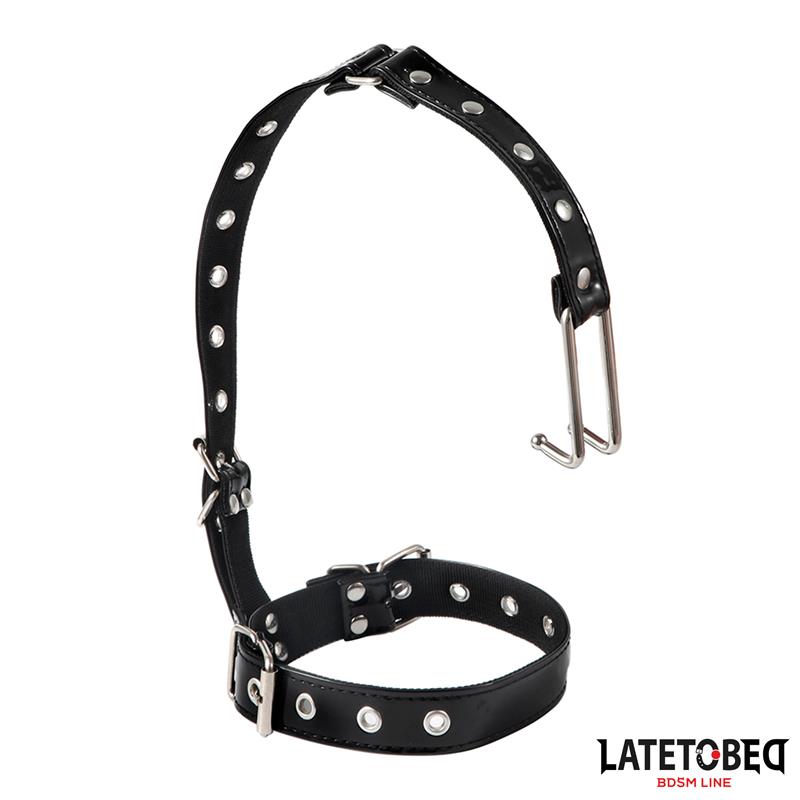 Collar con Gancho para la Nariz - Imagen 5