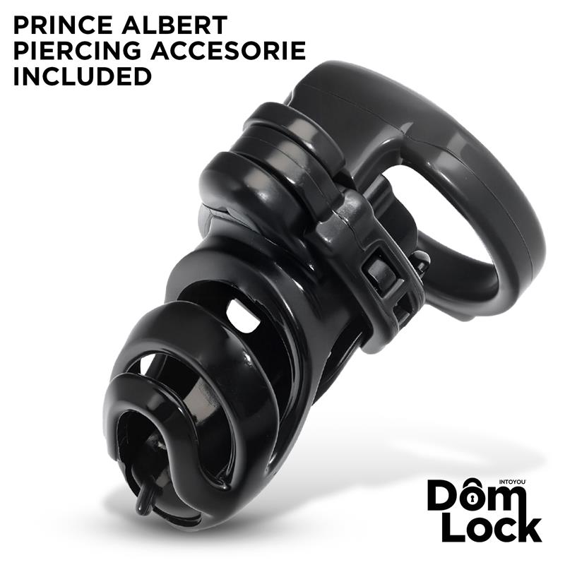 Detention Jaula para el Pene con Accesorio para Prince Albert - Imagen 6