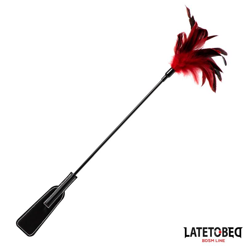 Pala con Plumas 2 en 1 - Imagen 3