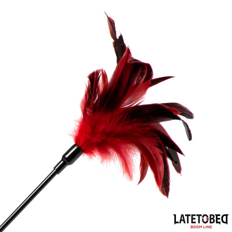 Pala con Plumas 2 en 1 - Imagen 4