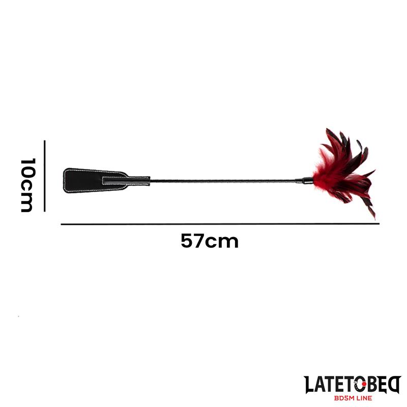 Pala con Plumas 2 en 1 - Imagen 6
