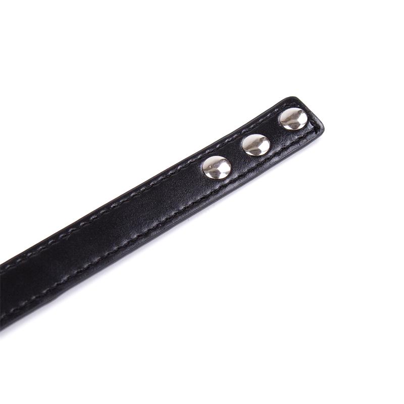 Collar con Aro Ajustable 38,2 cm Negro - Imagen 3