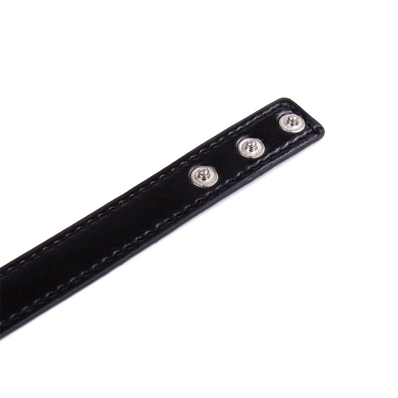 Collar con Aro Ajustable 38,2 cm Negro - Imagen 4