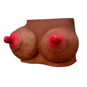 Hucha Forma de Pechos Mulata