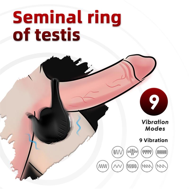 Anillo Vibrador para Pene y Testículos - Imagen 12