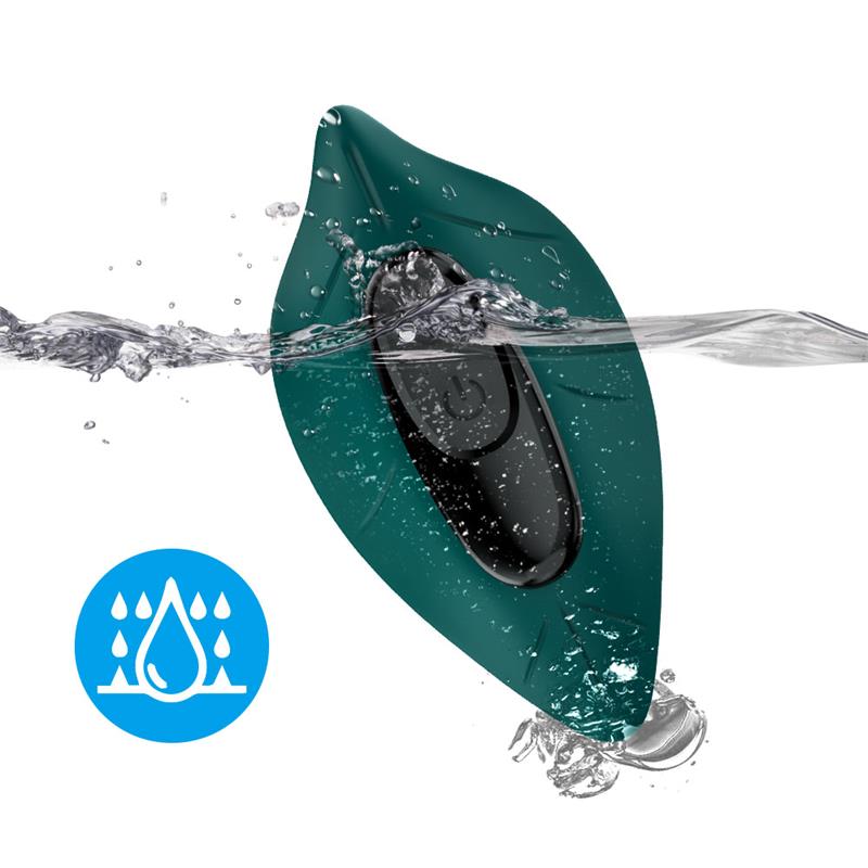 Vibrador de Braguita - Imagen 4