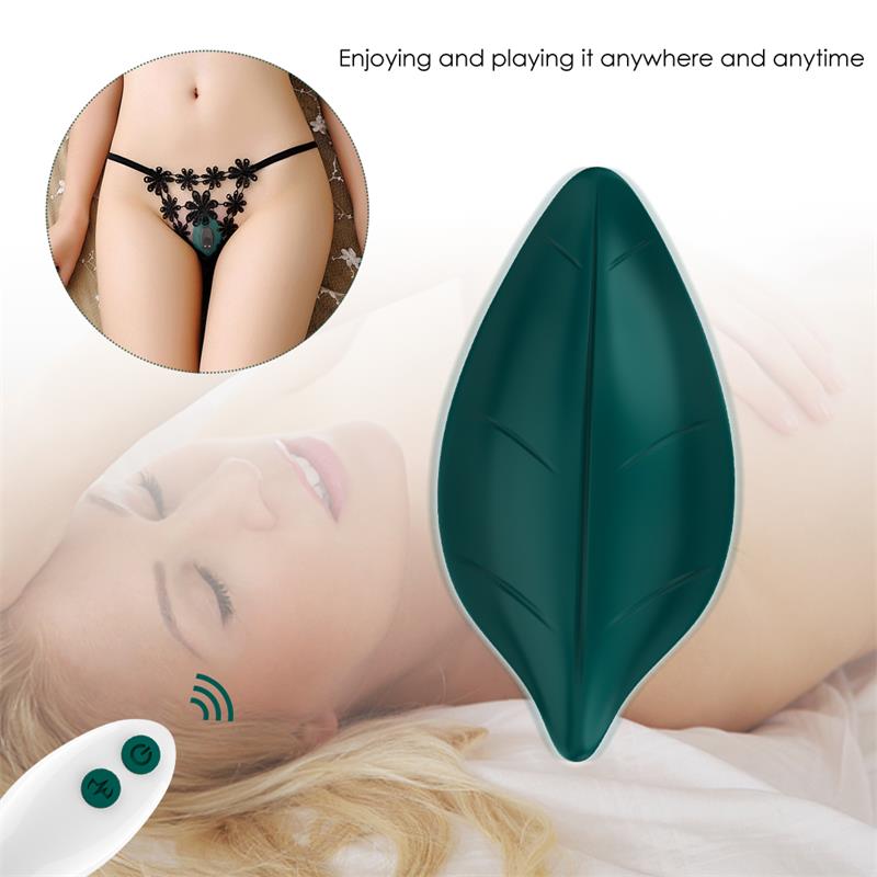 Vibrador de Braguita - Imagen 6