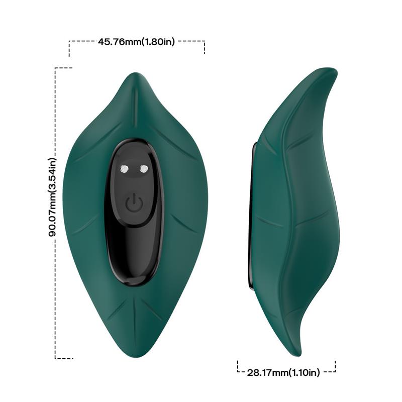 Vibrador de Braguita - Imagen 7