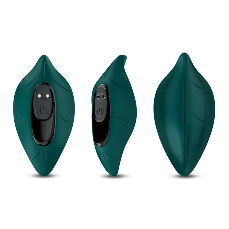 Vibrador de Braguita - Imagen 9