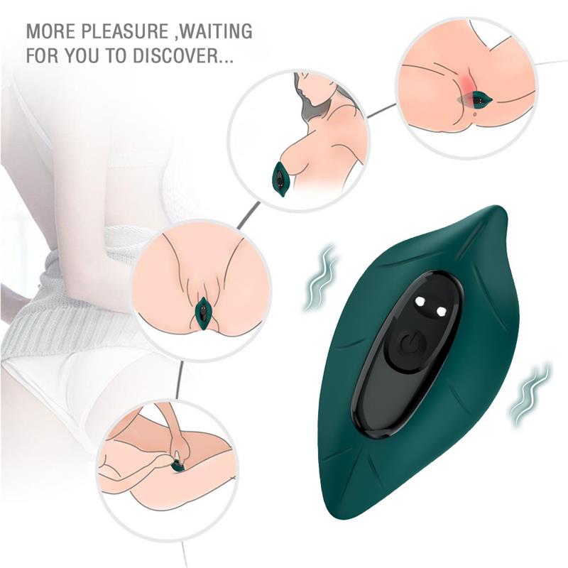 Vibrador de Braguita - Imagen 10